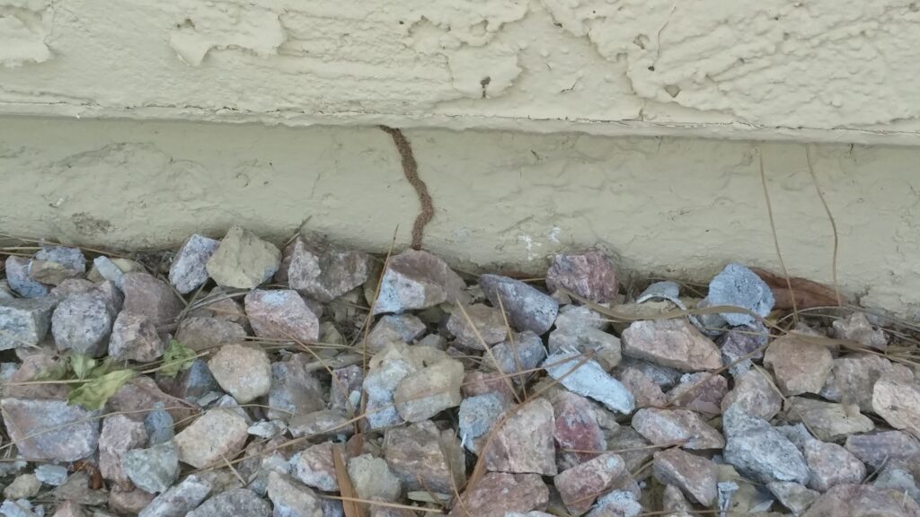 Phoenix termite exterminator