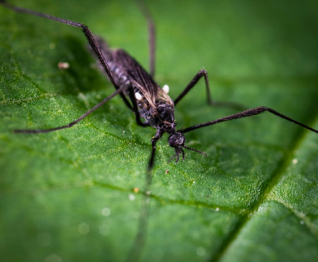 Applying safe pesticide